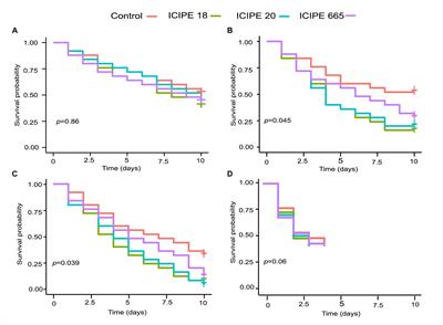 Immunological responses and gut microbial shifts in Phthorimaea absoluta exposed to Metarhizium anisopliae isolates under different temperature regimes